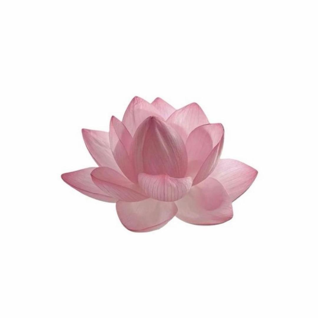 你是真特么能得瑟