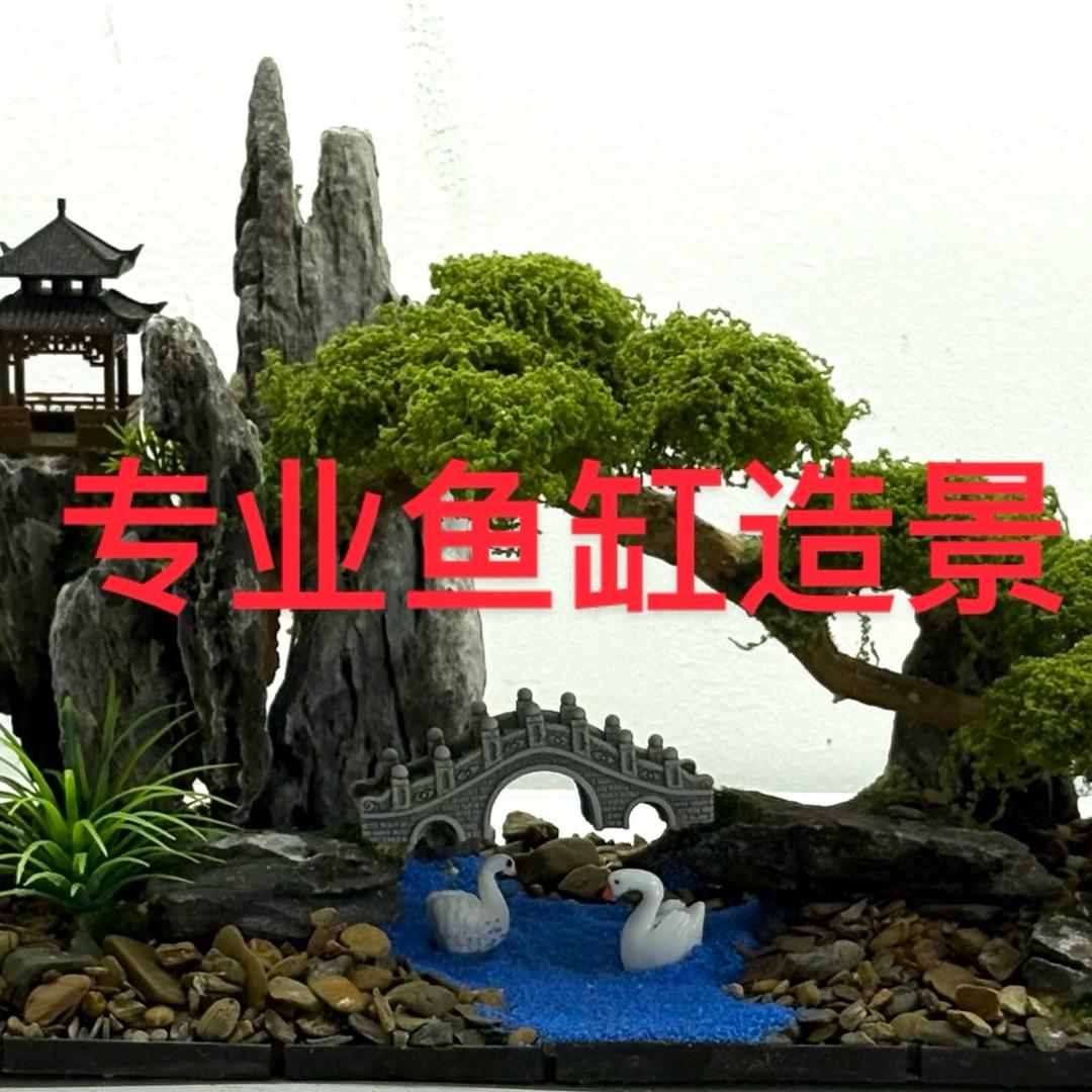 峰景鱼缸造景精选店