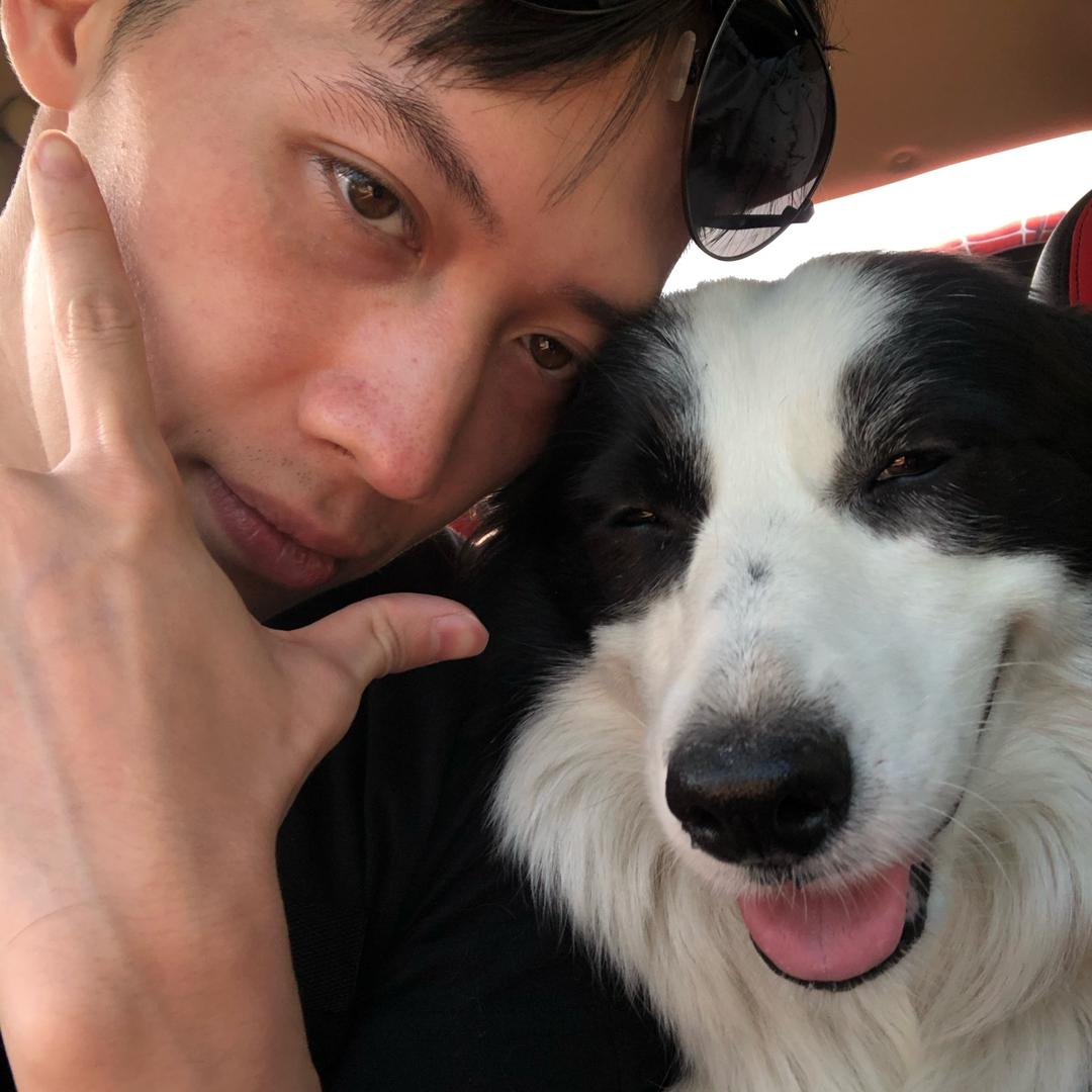 鱿鱼打乌龟