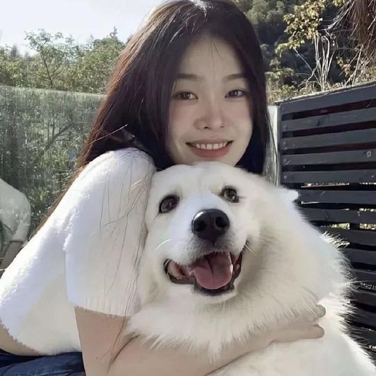 笨蛋小狗