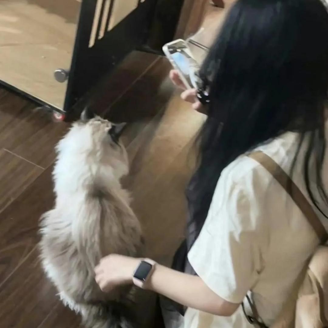 许离.