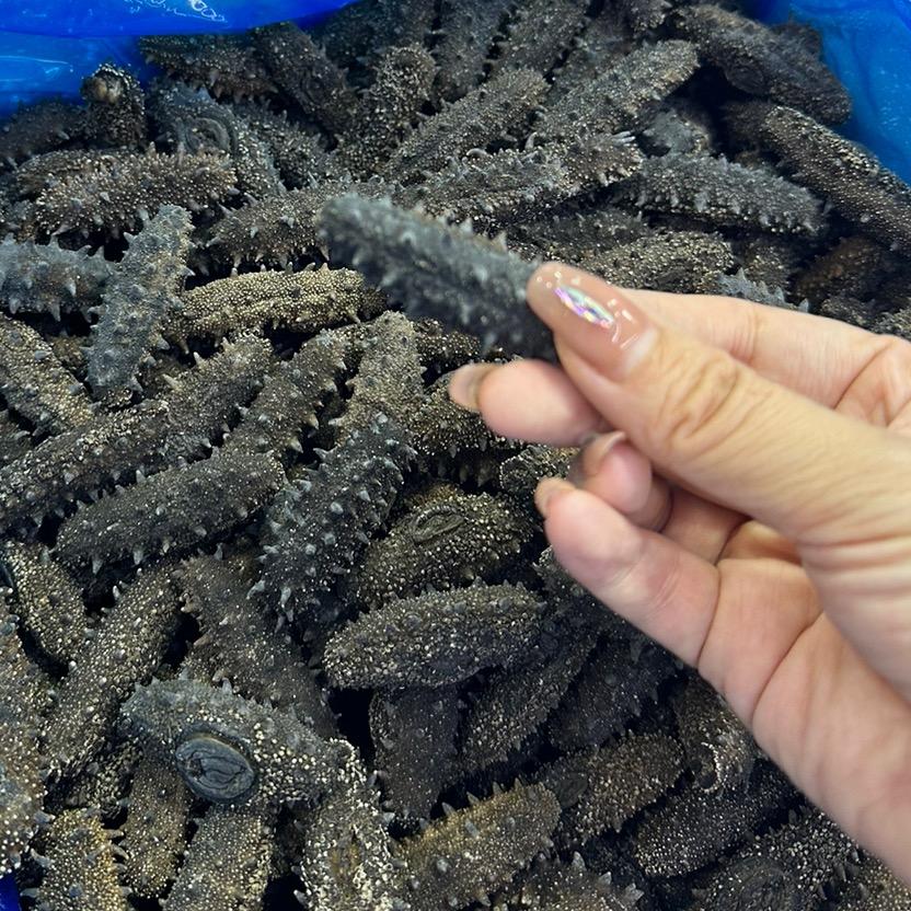 五道街千福海参闸蟹批发