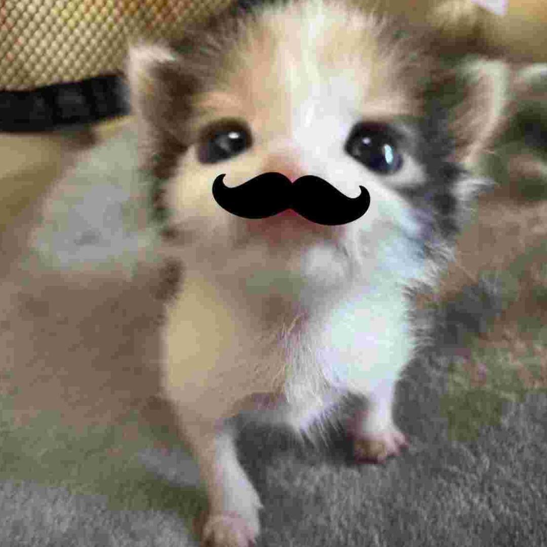 Stubbs