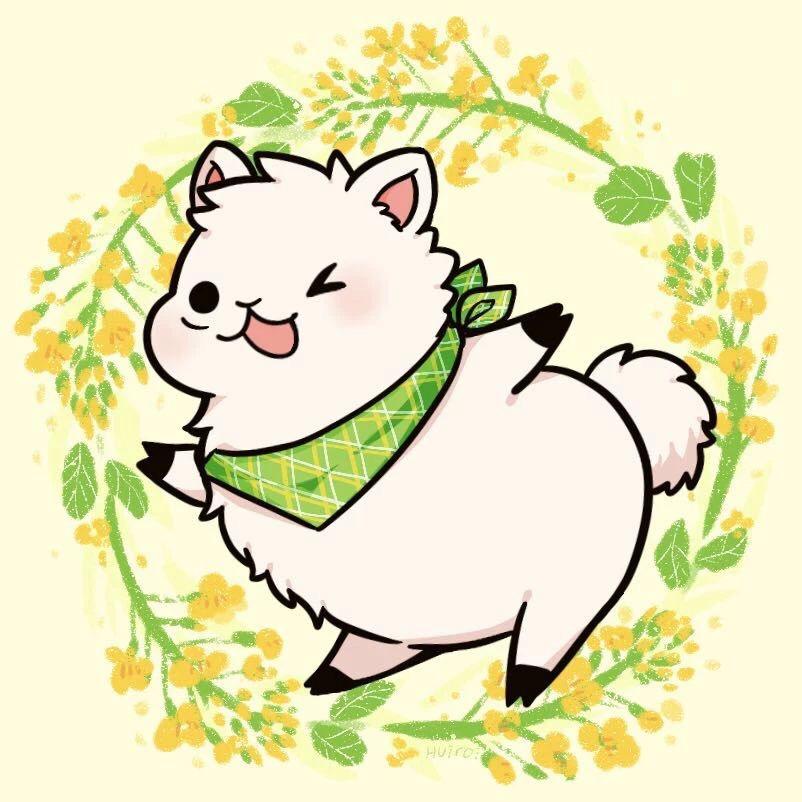 好物选集嘎嘎嘎