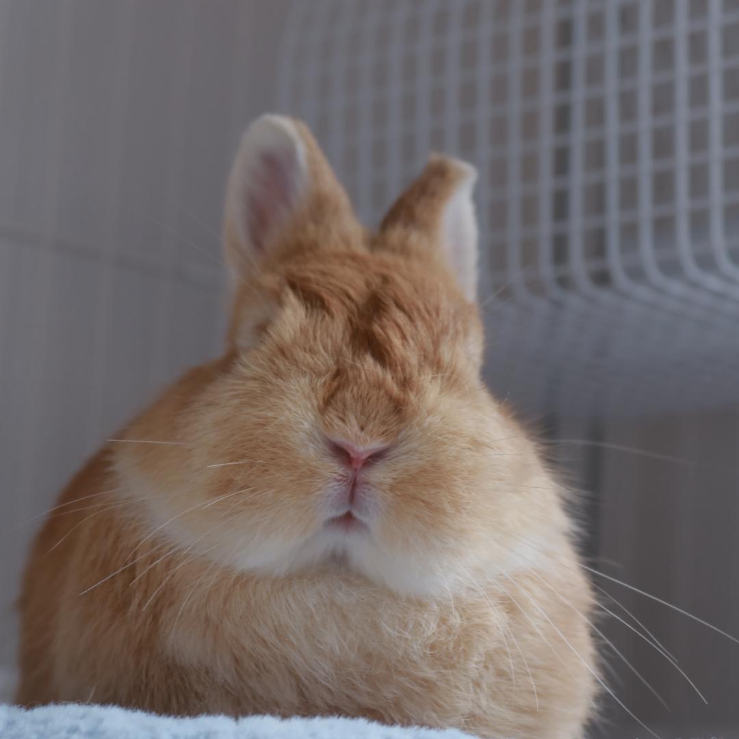 吃不胖和瘦不了