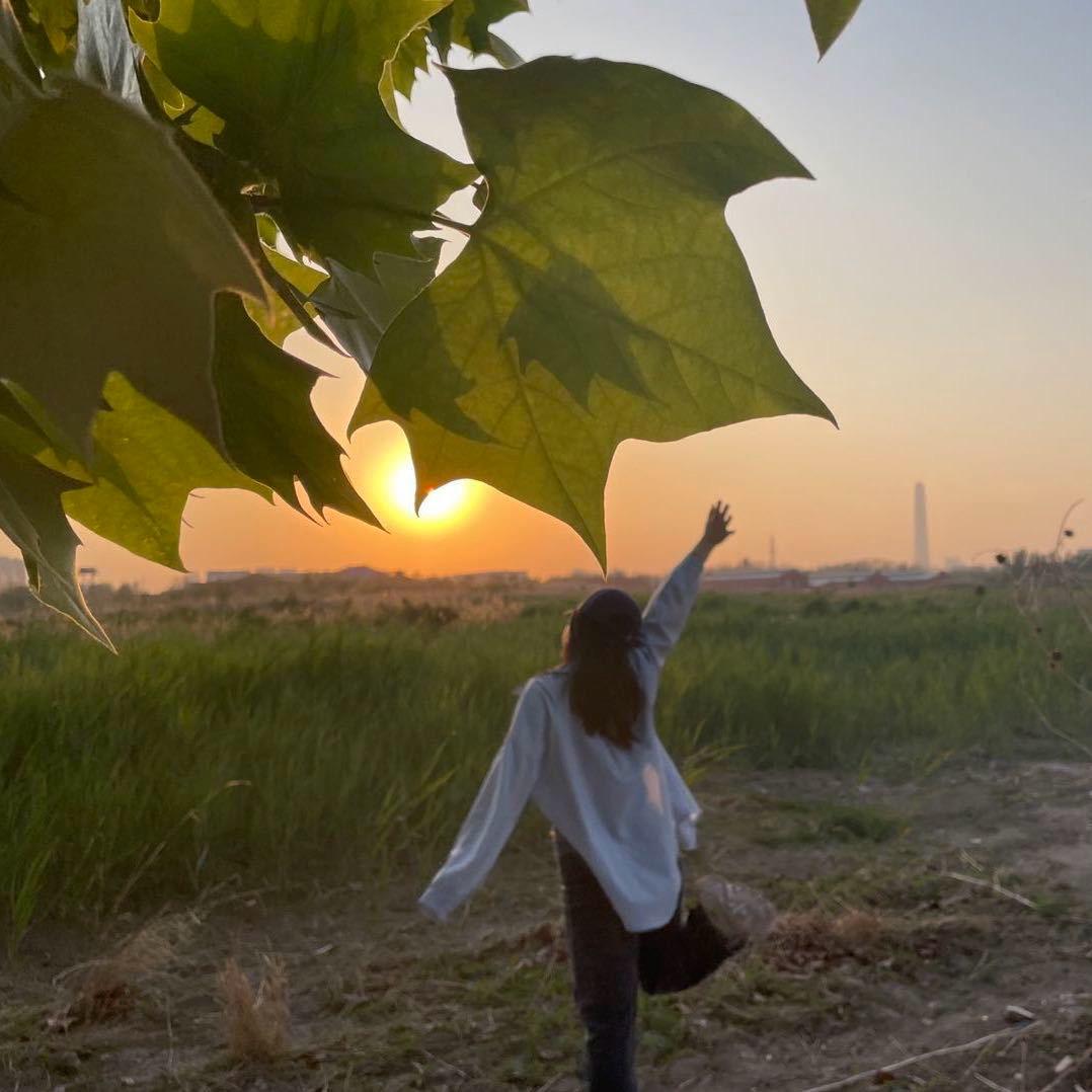 娜娜🌾