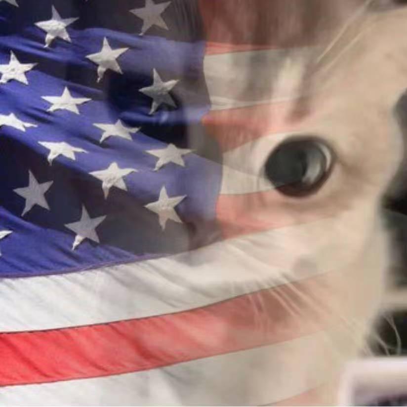 bo.