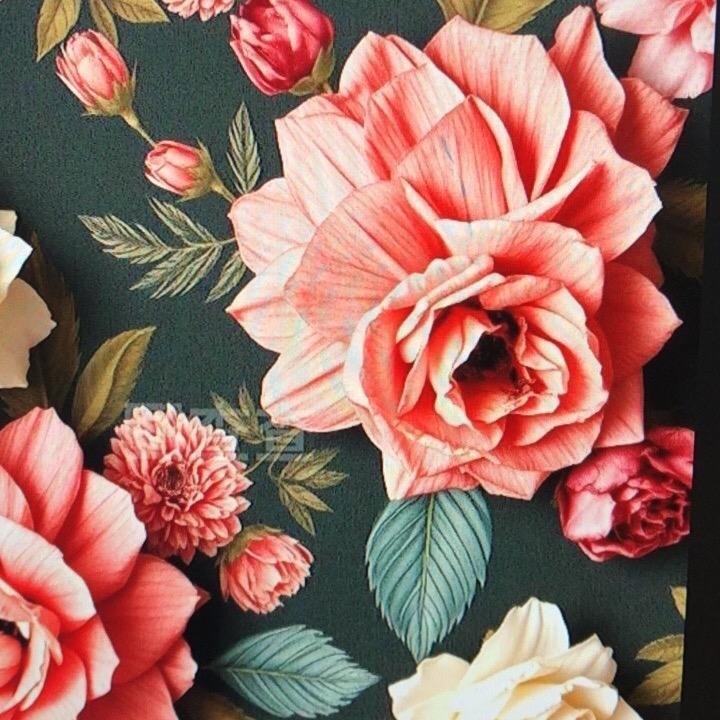 无忧无虑的日子