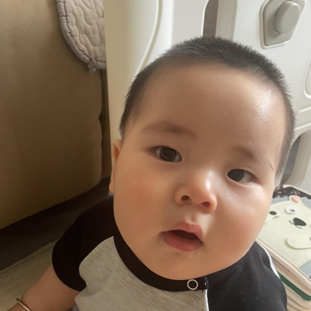 又又切克闹