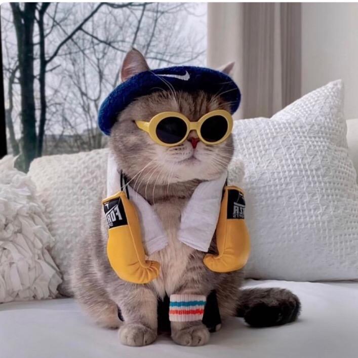 Zhᴗang੭ﾞ