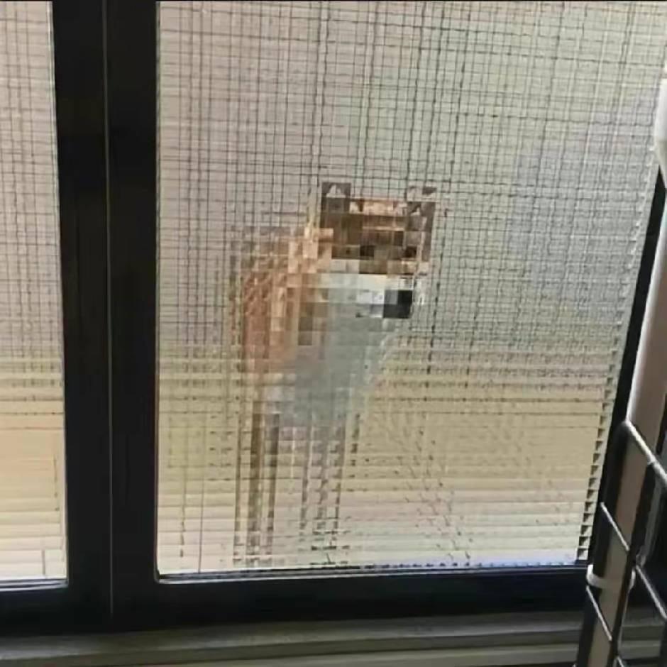 暖亦