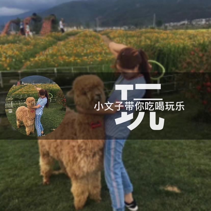小文子探店