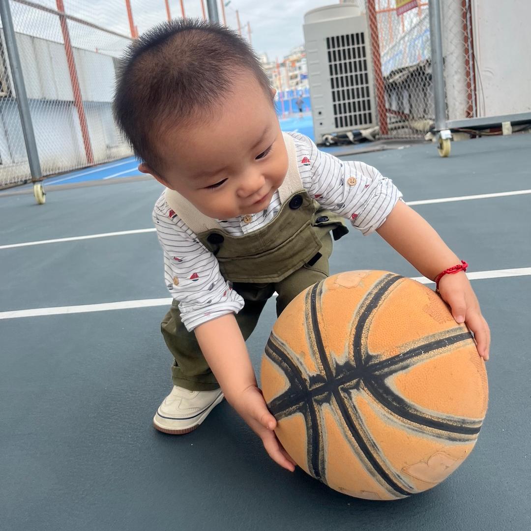 兜宝养成记