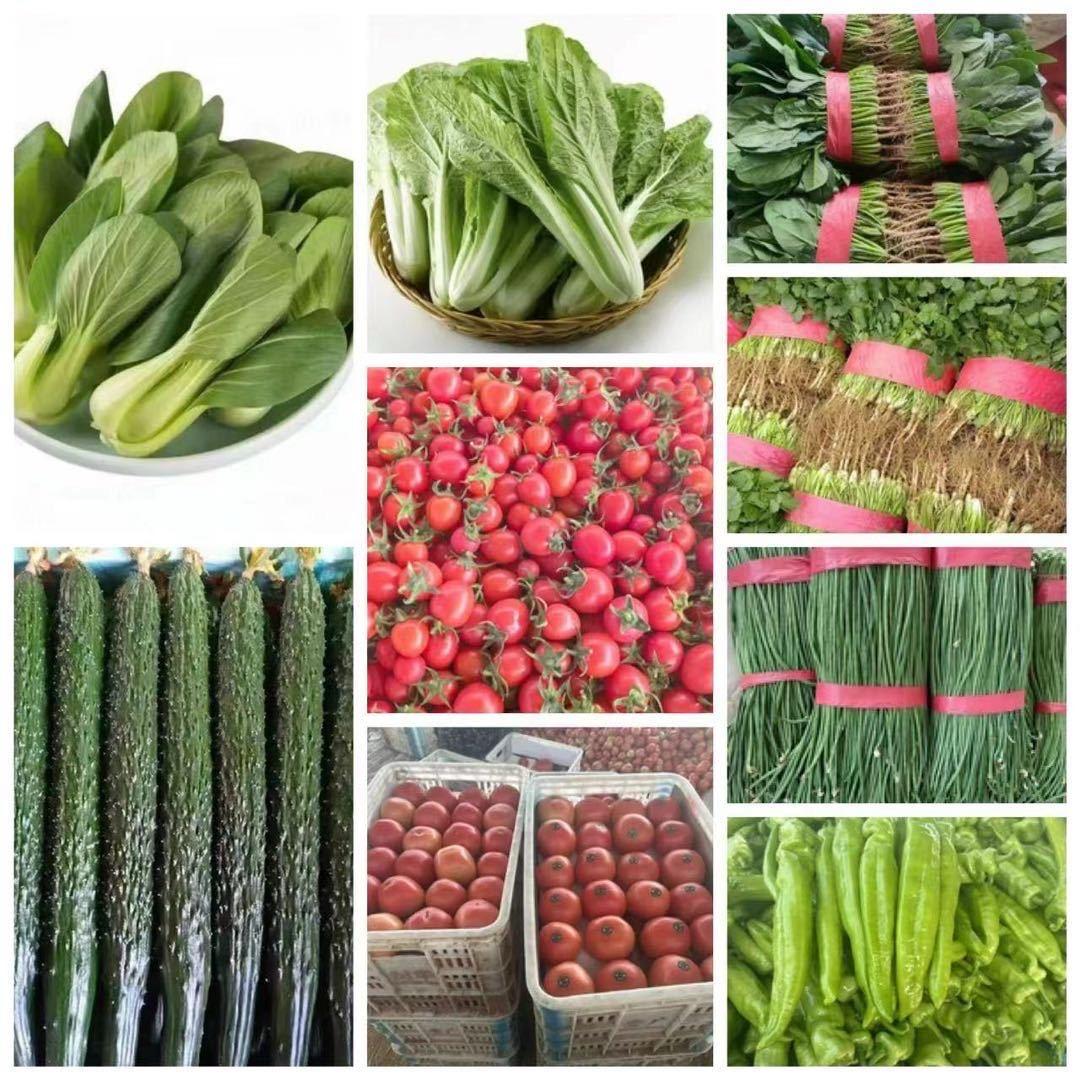 世威精品蔬菜基地