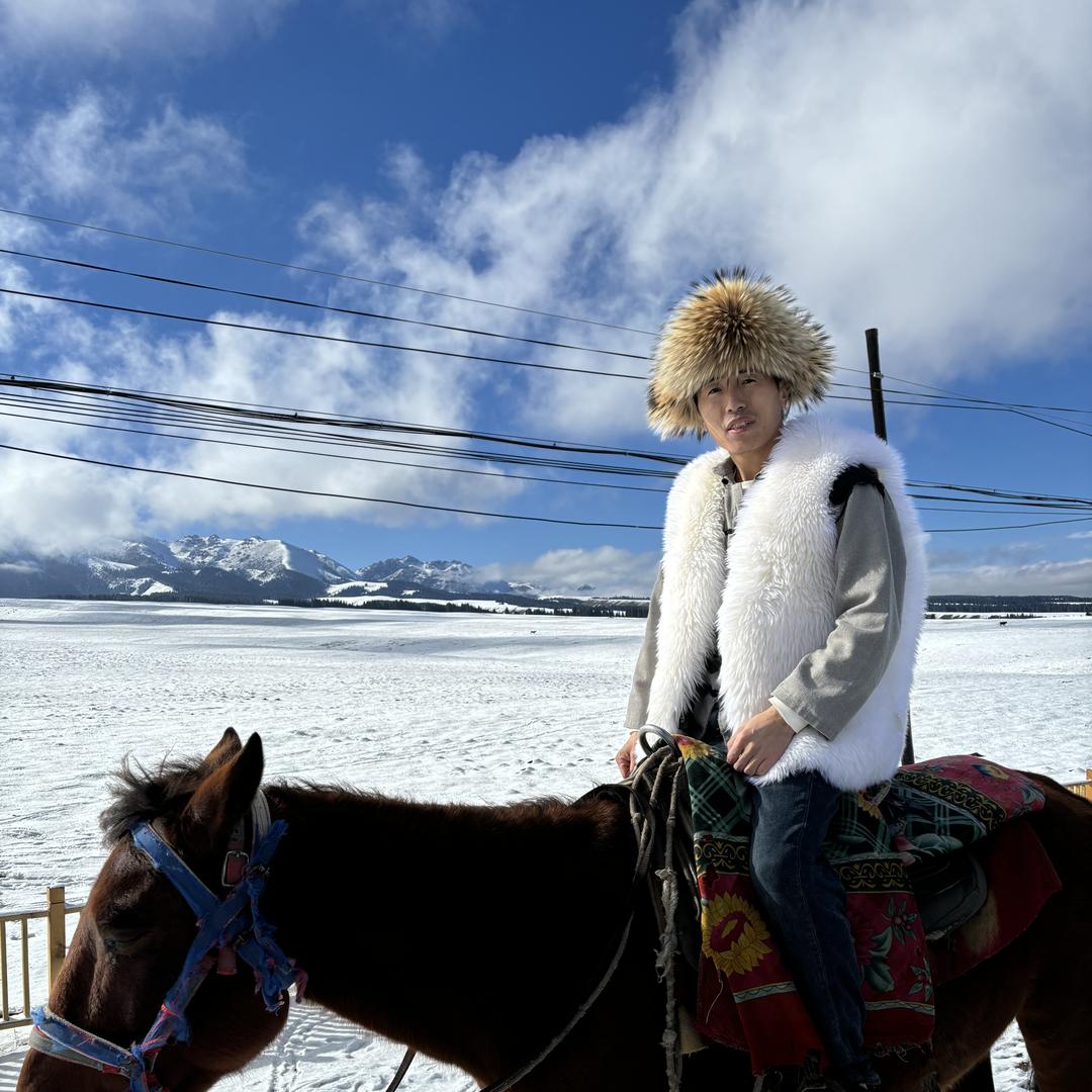 阿达西皮毛用品店