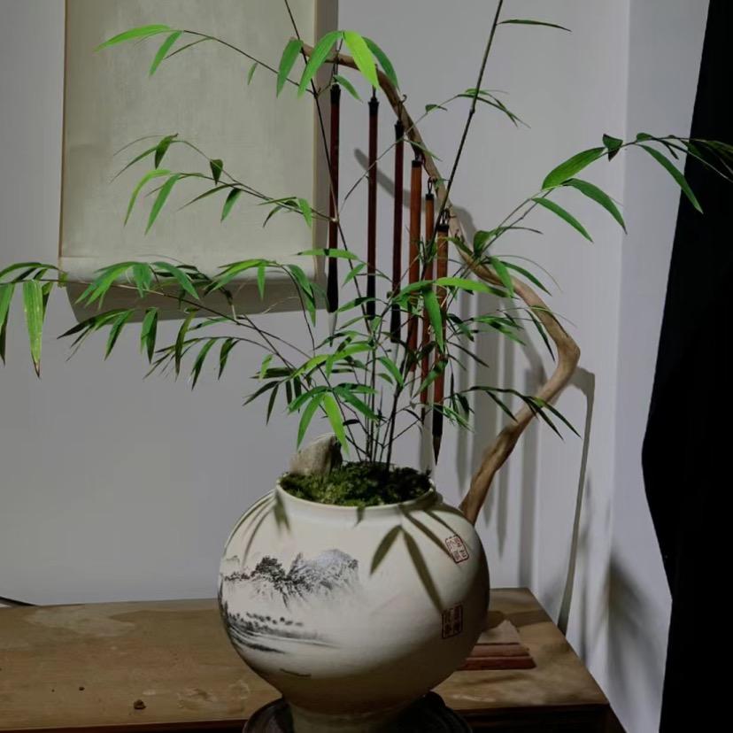 小叶竹苑