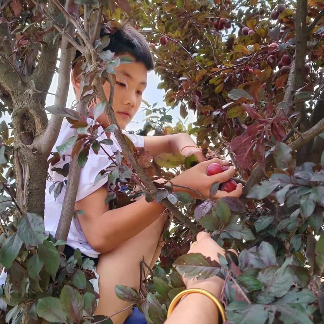 A全国回收七氟丙烷