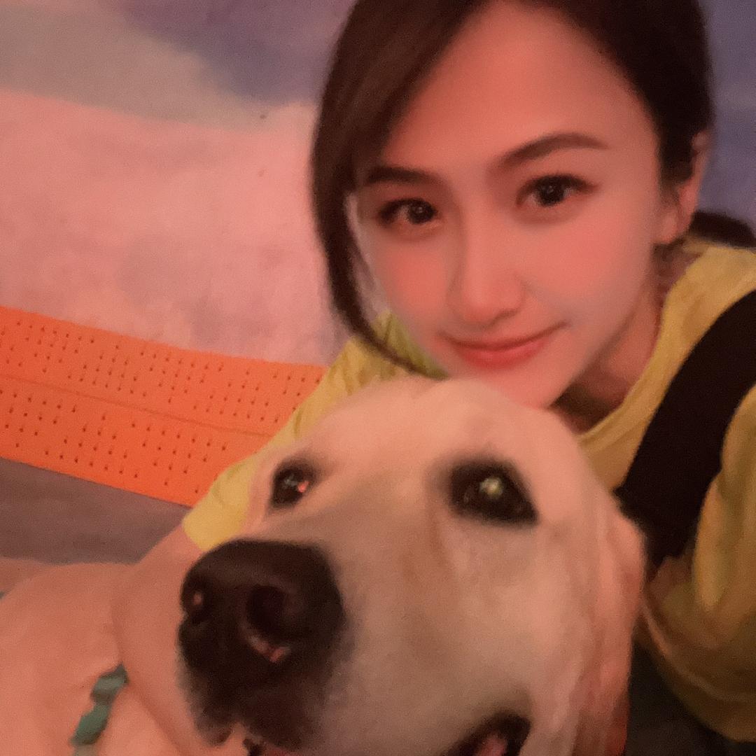 Joey拉布拉多