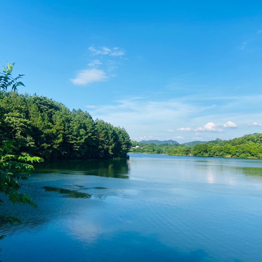 佳哥传奇