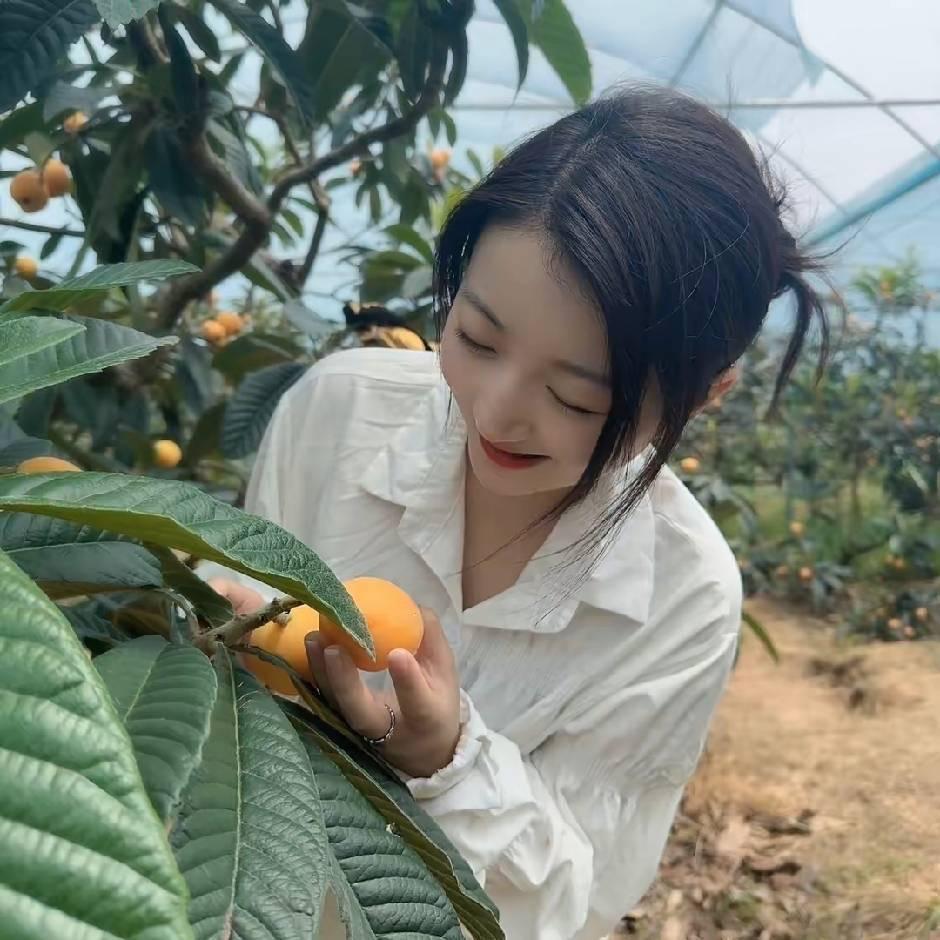 至敏鲜果