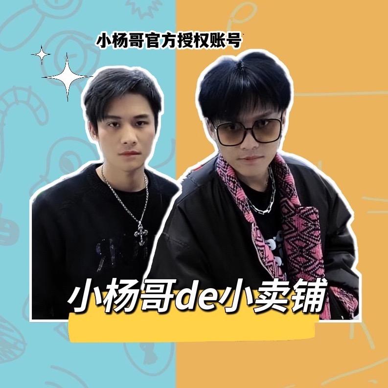 小杨哥de小卖铺