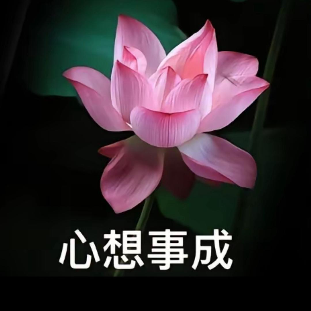 ￴ -心想事成💞