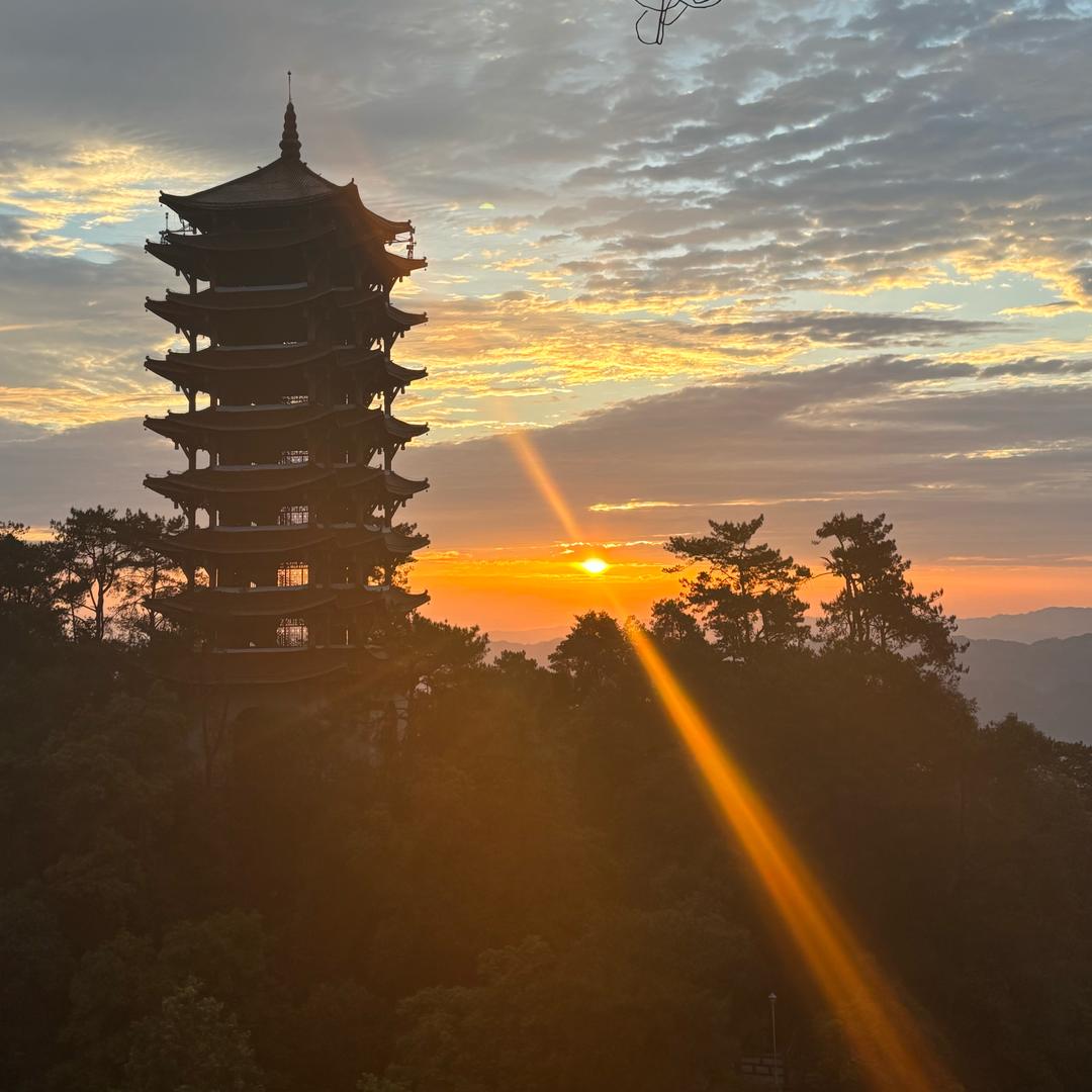 酸奶哥