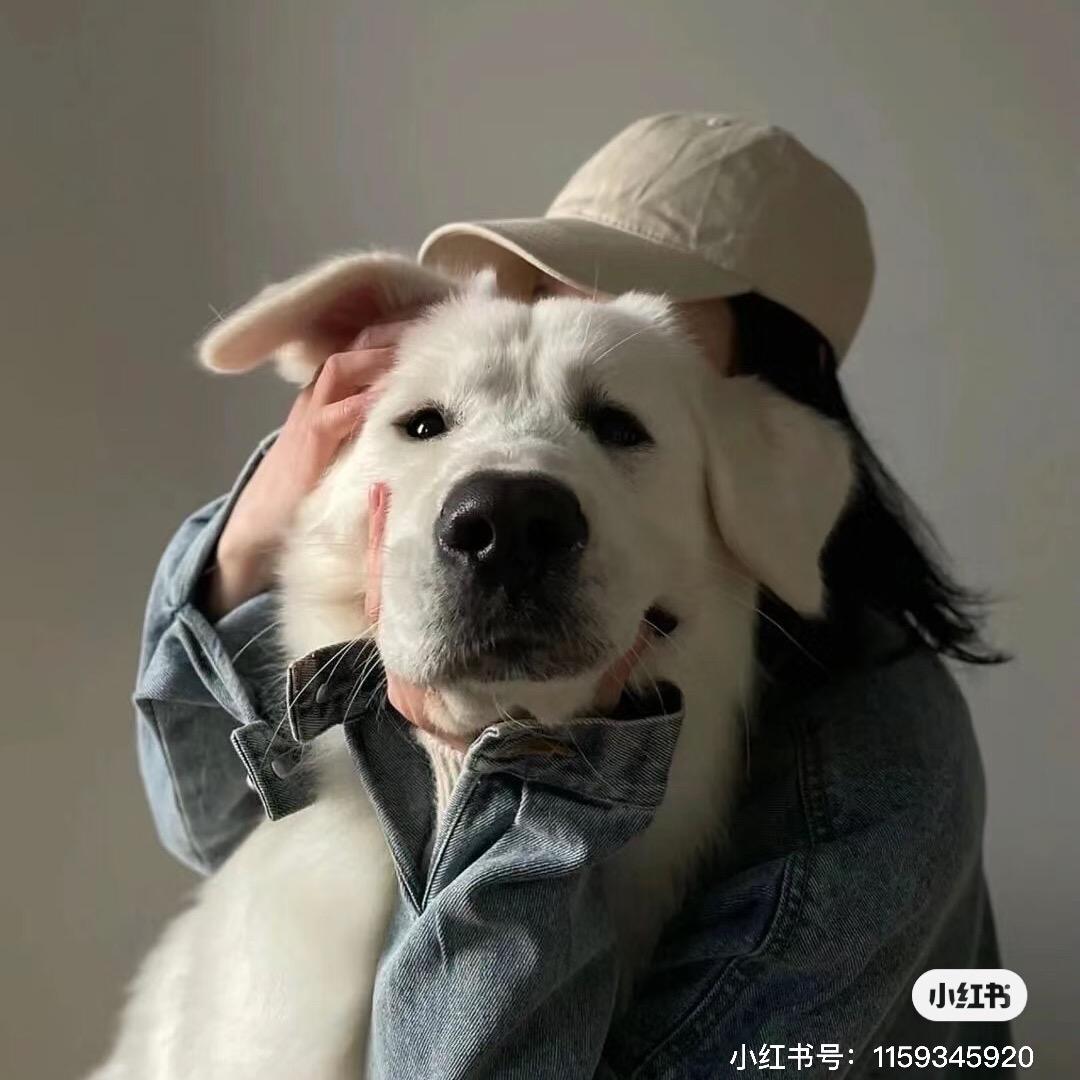 全网乙方