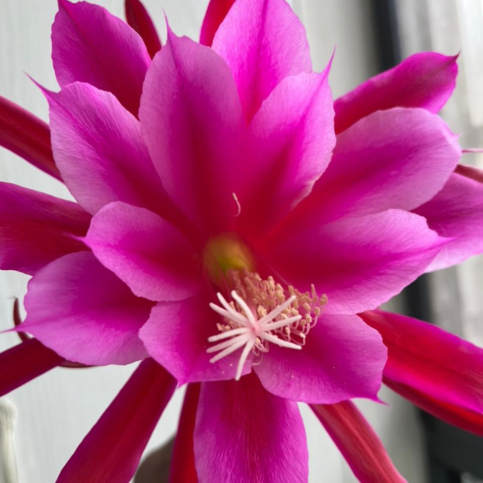 🌈🌈春雨🌈秋风