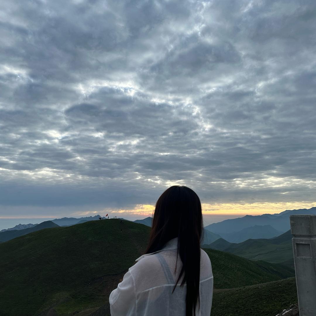 倩宝是个小趴菜