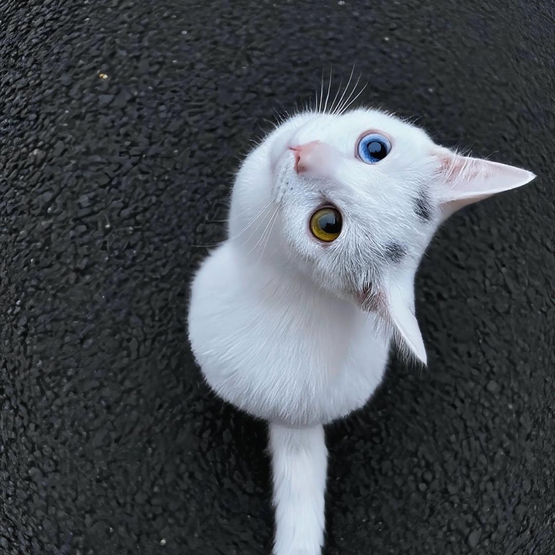 上周