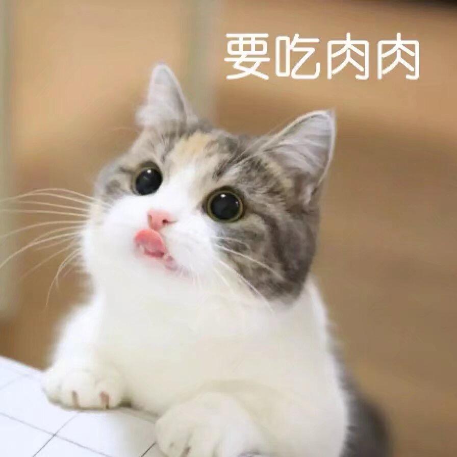 俩兜兜都有糖
