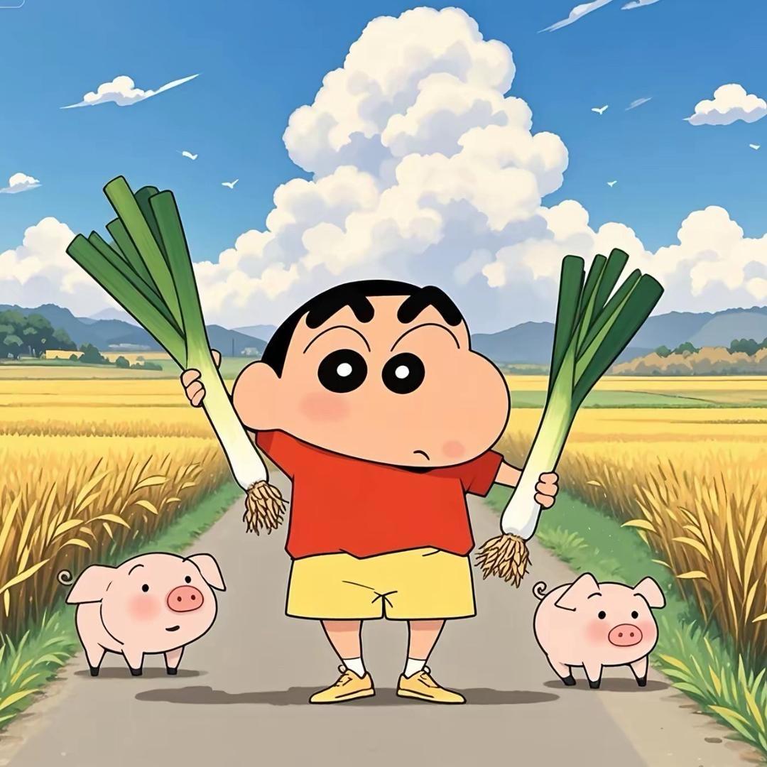 迪dei