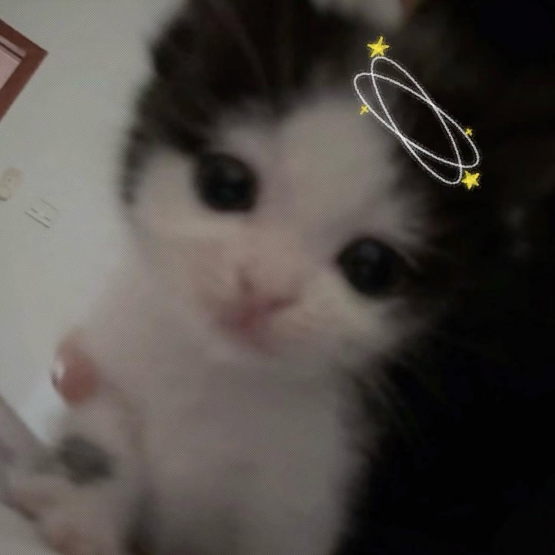 ︀