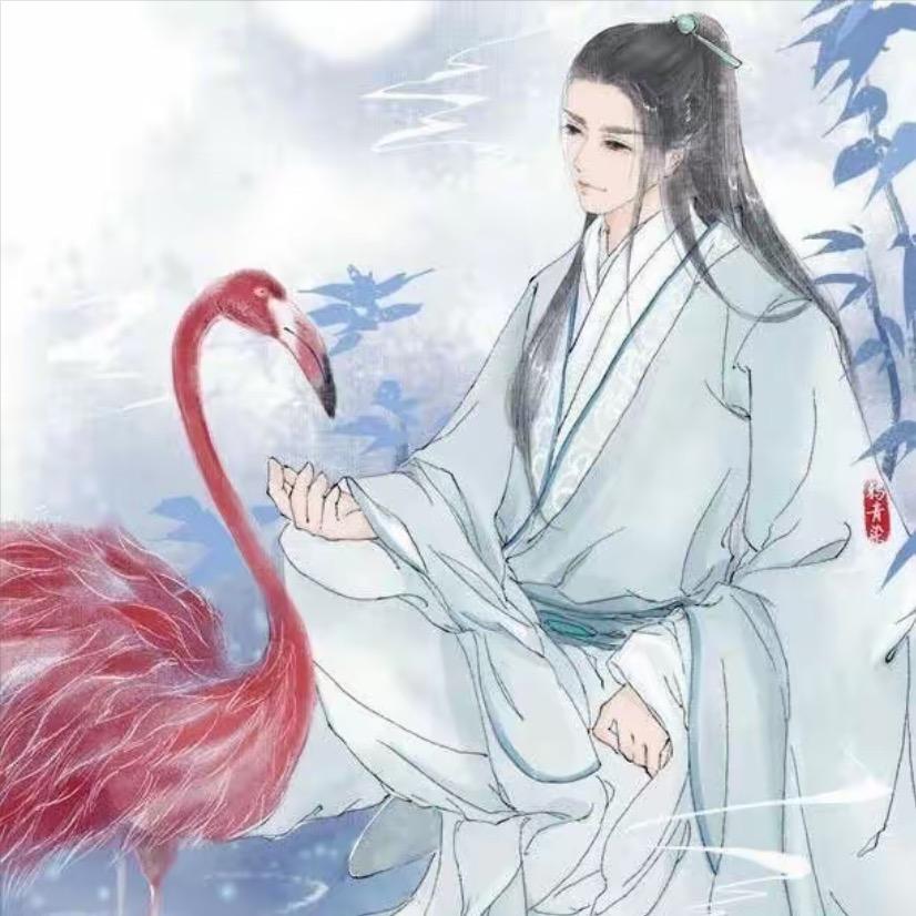 晨阳师兄