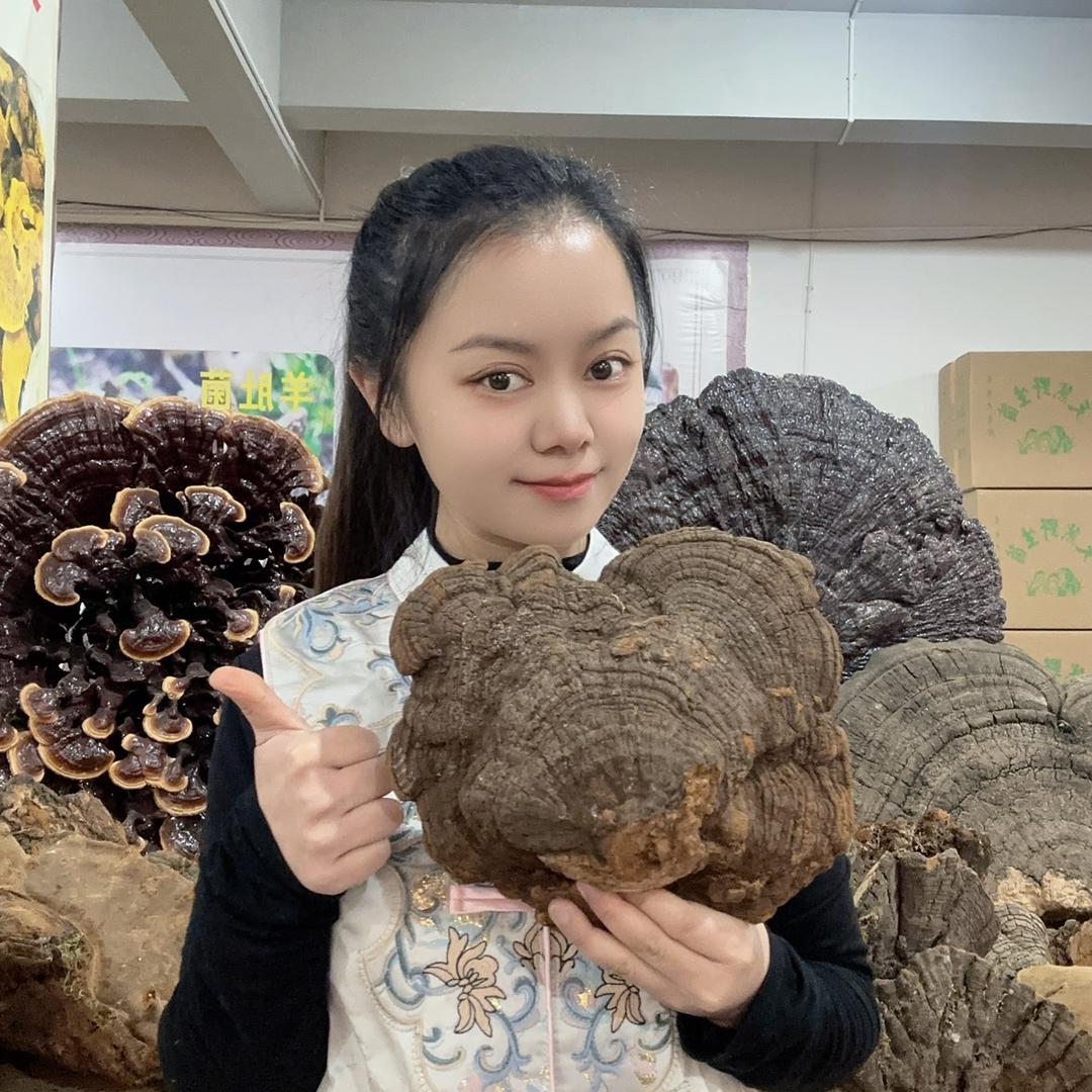 叶子滋补品优选