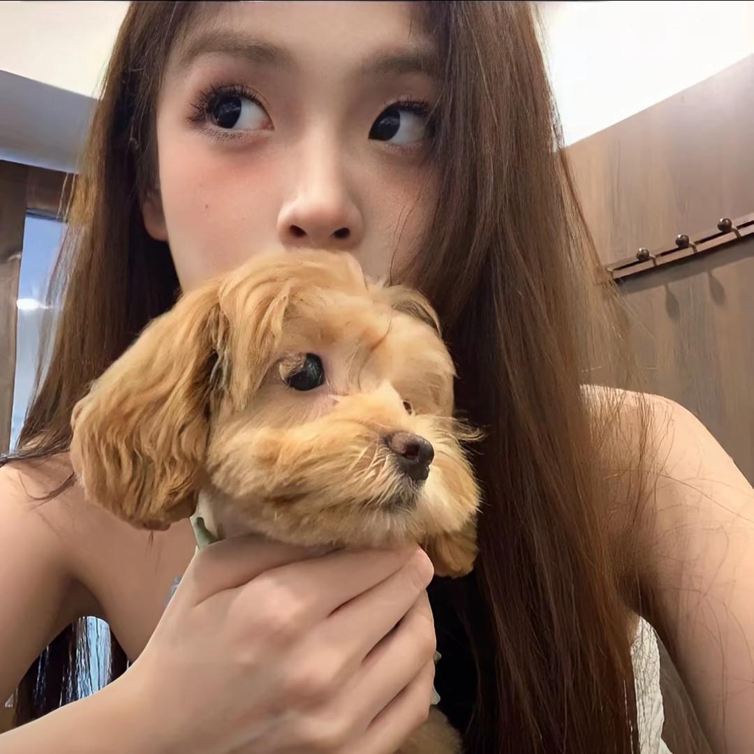 闪闪闪🥨