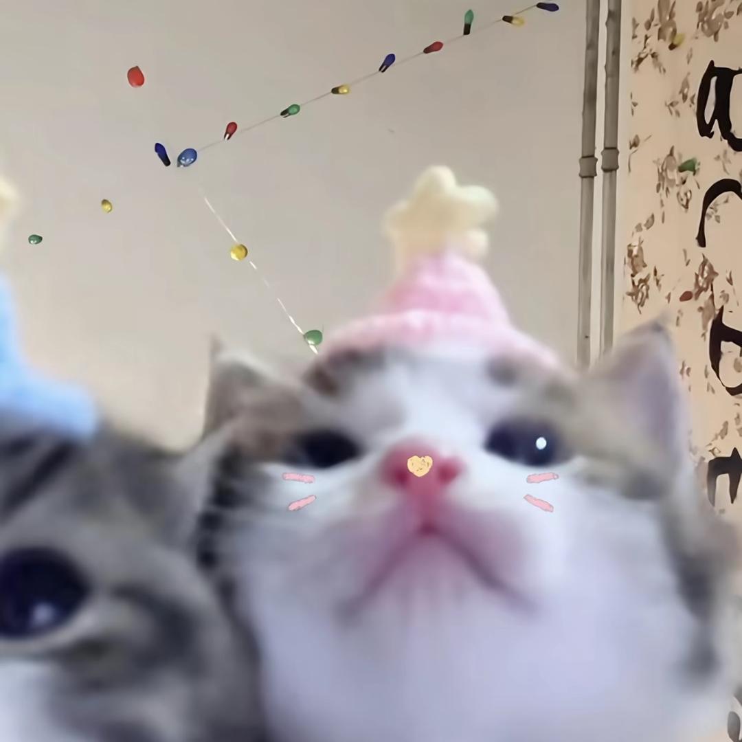 我的猫咪是小咪