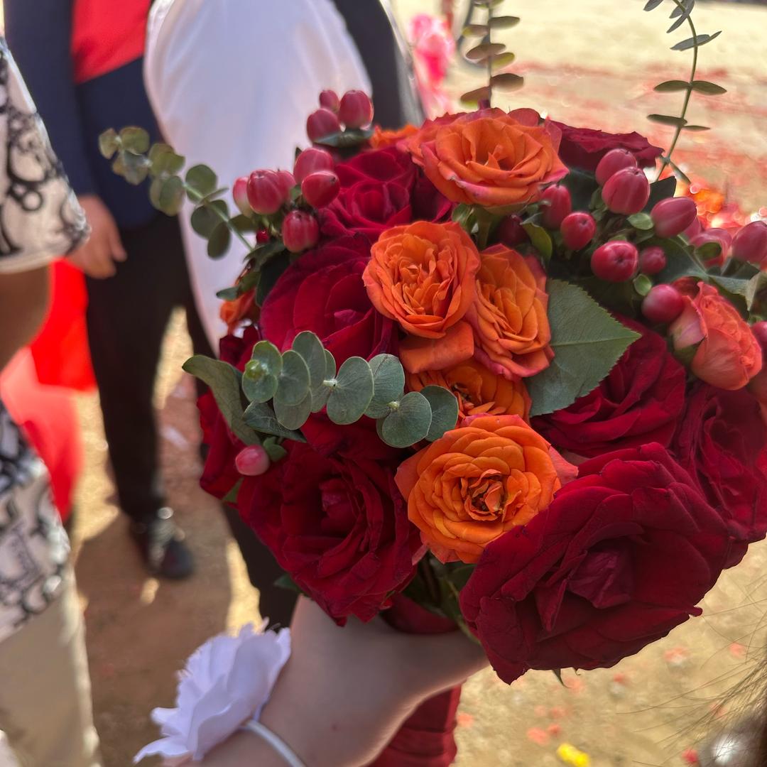 贝壳💕💕💕💕