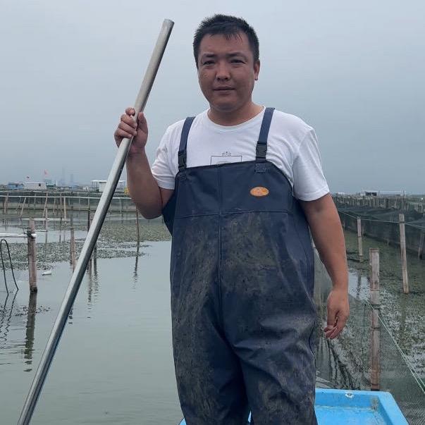 阳澄老杨
