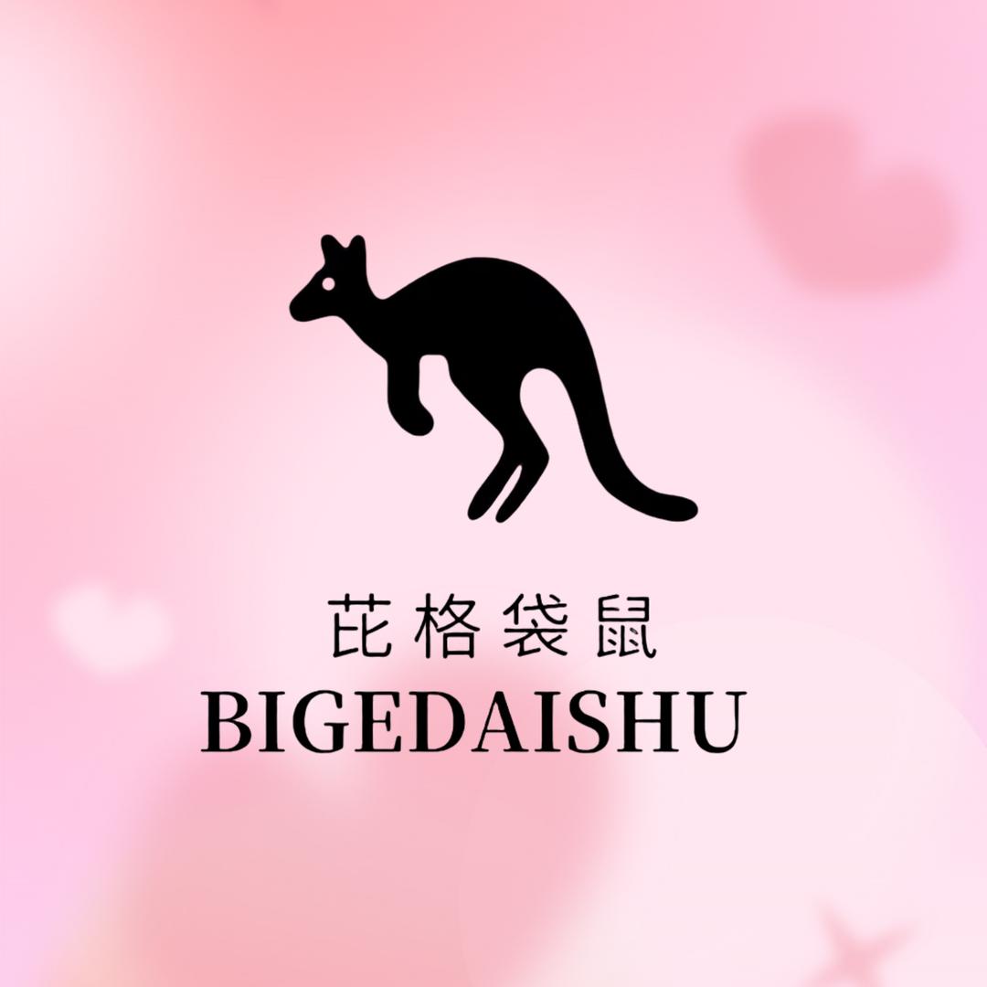 BIGEDAISHU蓝煌授权店