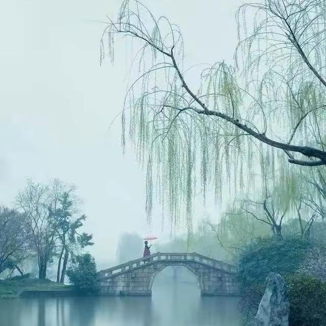 淡烟疏柳（75🐰🐰）