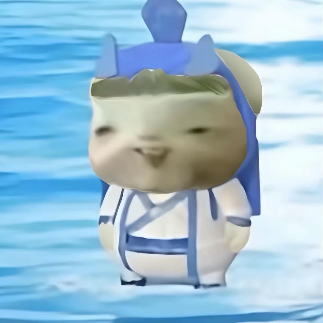 我不是小猫.