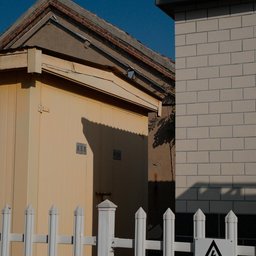 🍄‍🟫🍄‍🟫🍄‍🟫