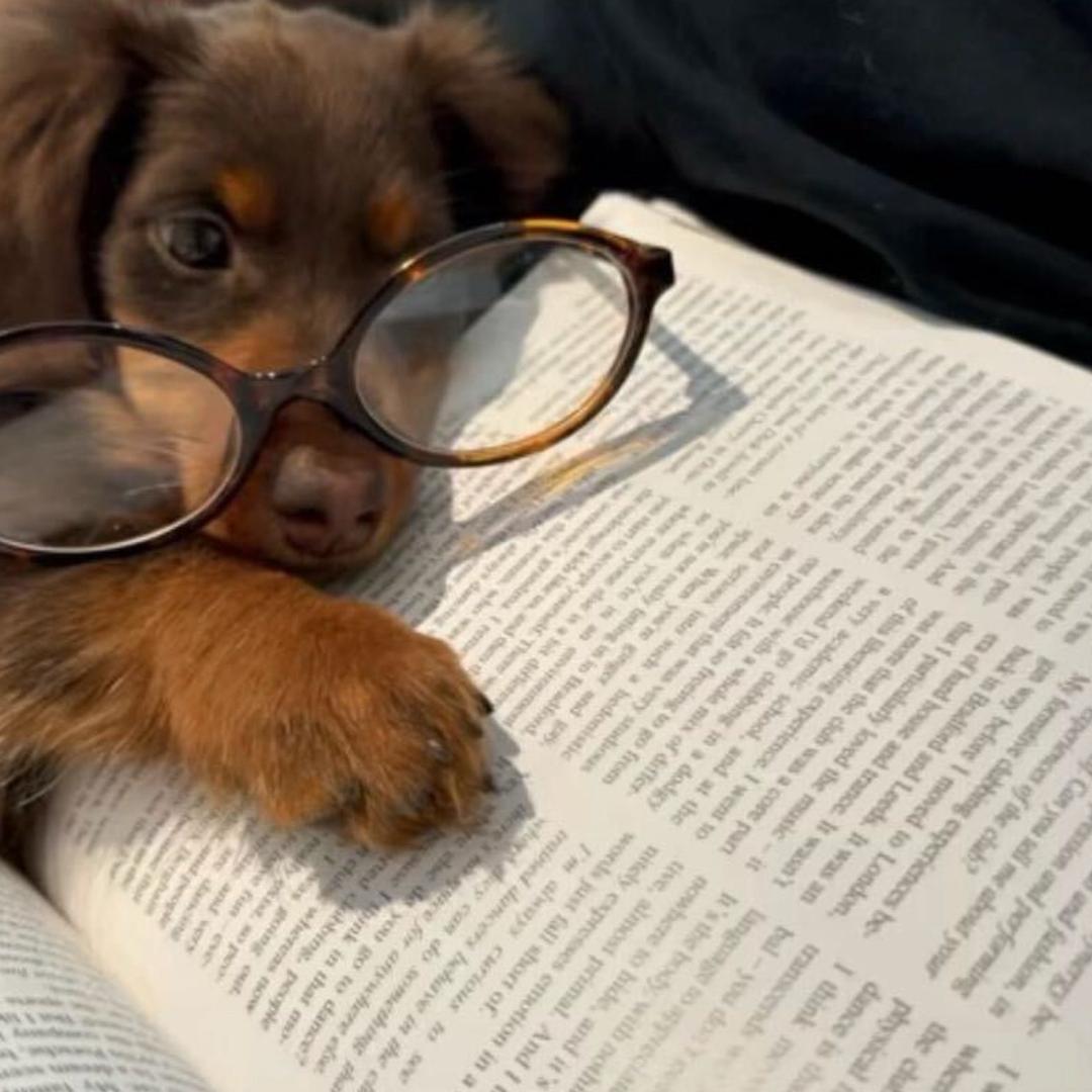 ￴ ㅤㅤㅤㅤㅤㅤㅤㅤㅤㅤㅤㅤ