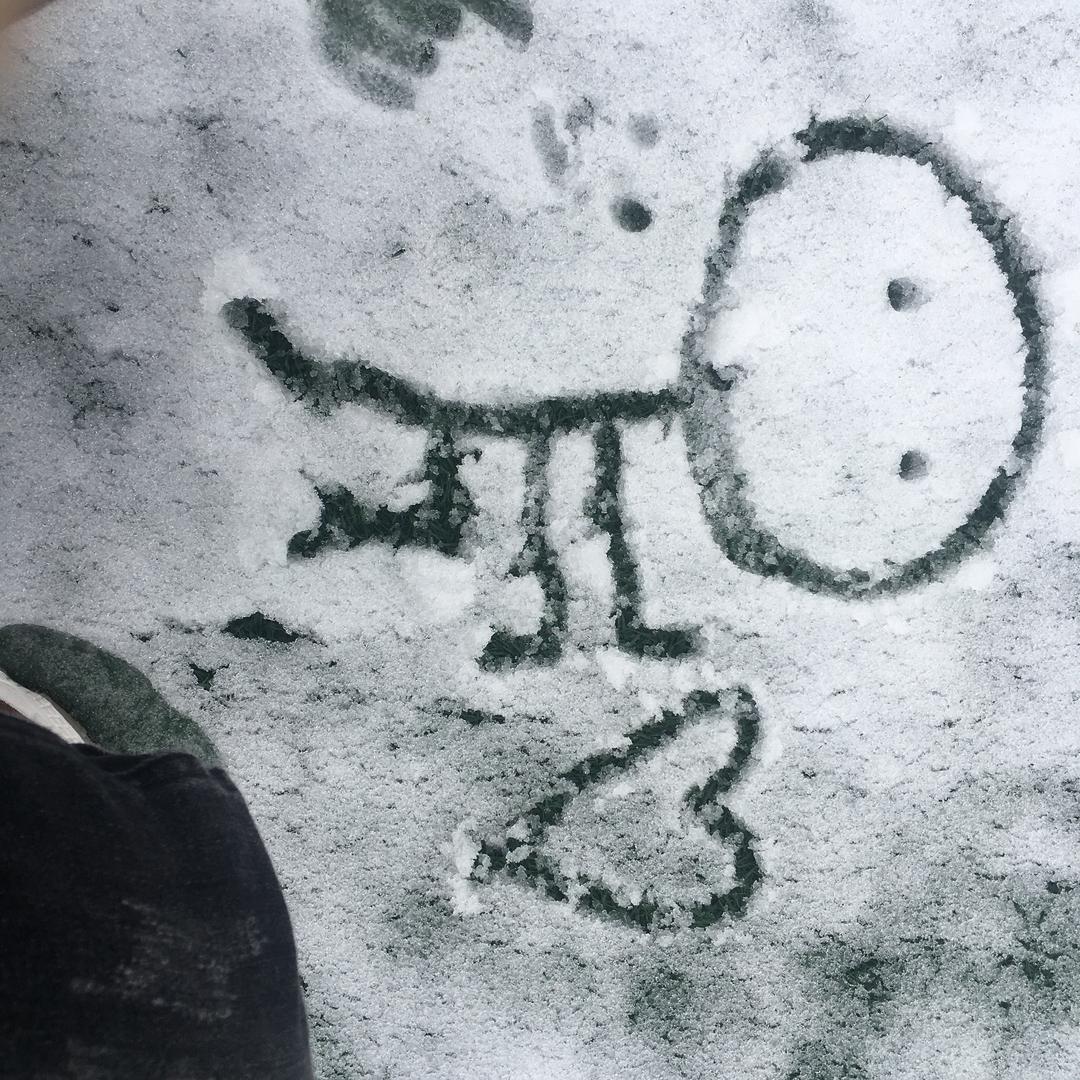 追求幸福的古董