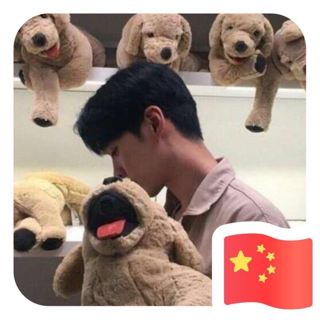 安阳招聘（咨询培训）