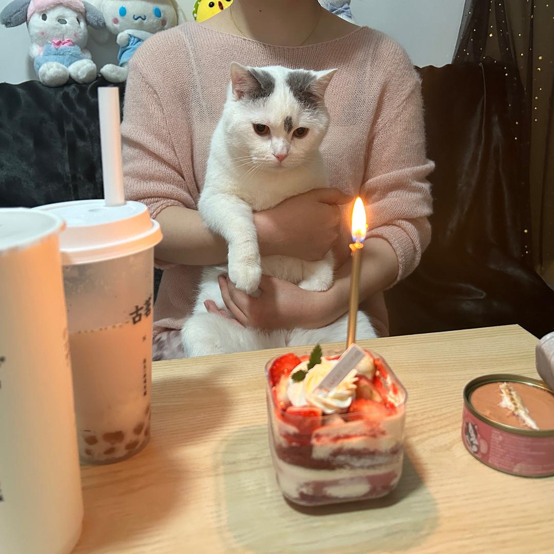 胖头美人鱼