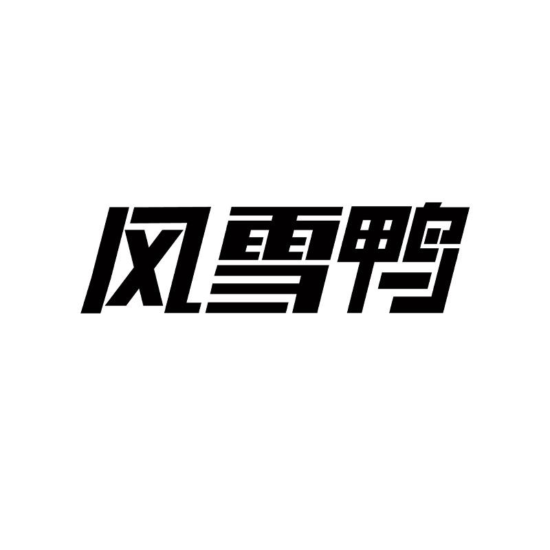 风雪鸭