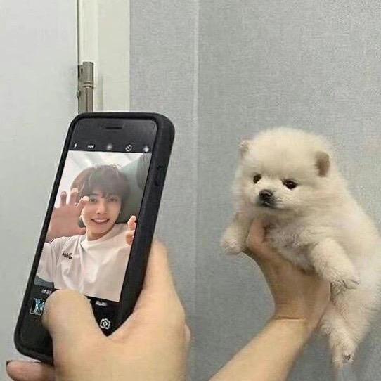 蹦蹦放气👾